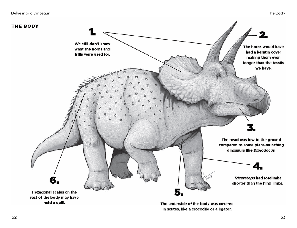 So You Think You Know About Dinosaurs?