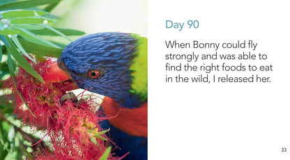 Bonny Grows Her Feathers and Learns to Fly