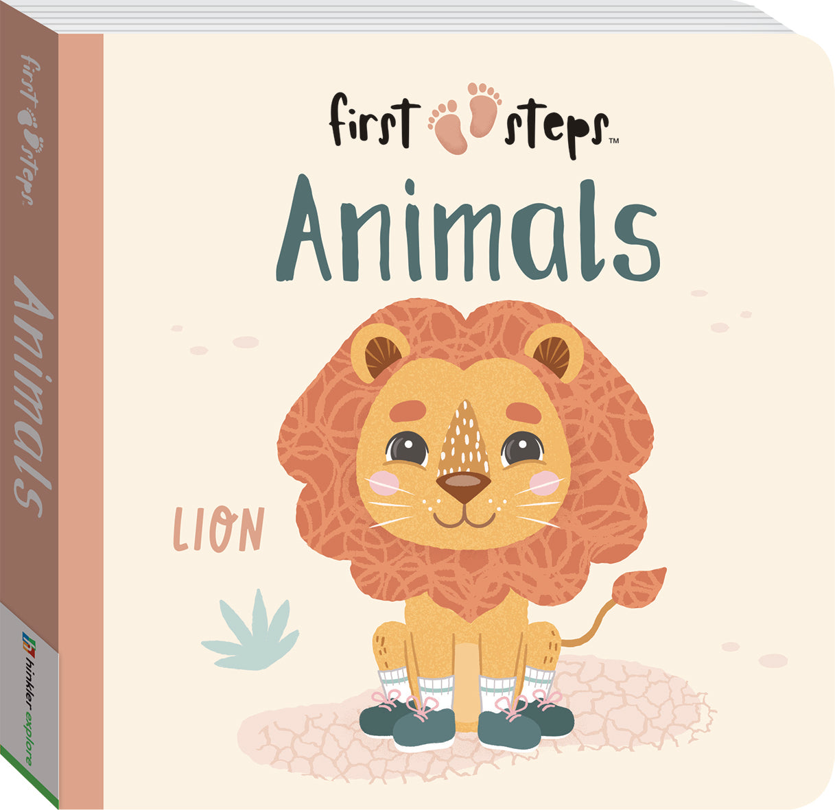 First Steps Board Book Set 3