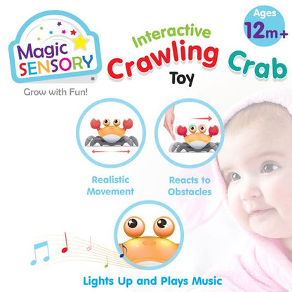 Crawling Crab Musical Interactive Toy