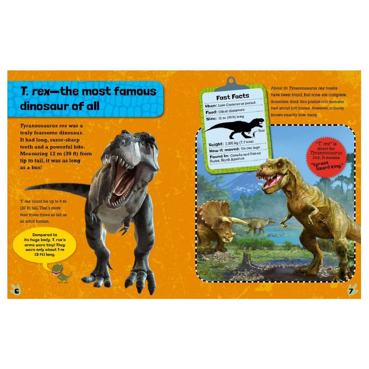 Dinozone: Tyrannosaurus Rex