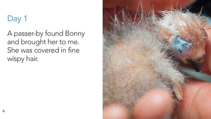 Bonny Grows Her Feathers and Learns to Fly