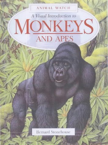 A Visual Introduction to Monkeys & Apes