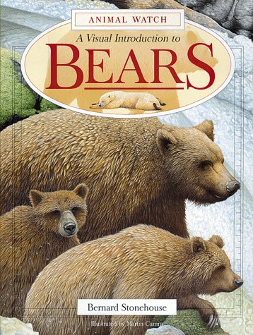 A Visual Introduction to Bears