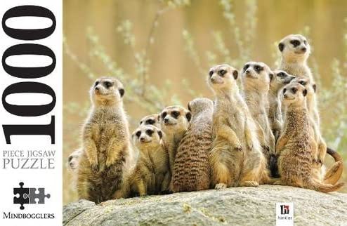 Meerkat Family 1000 Piece Jigsaw Puzzle